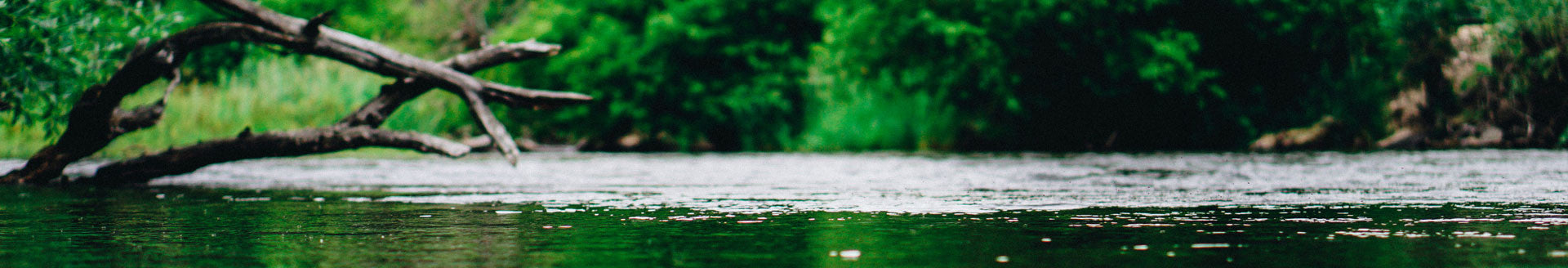 collections/10_8af178f6-0f1e-4a81-b0b5-6df1673674c2.jpg