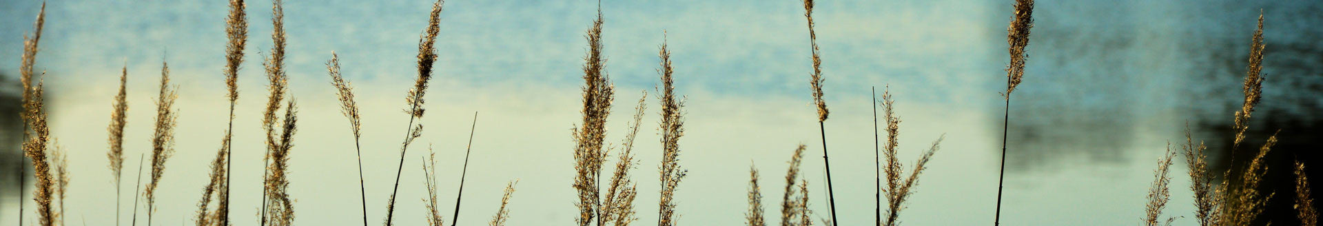 collections/14_58386bf4-1703-4180-8033-eacb24d35bd4.jpg