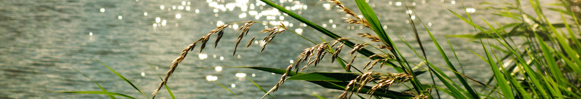 collections/7_50bf93d2-6fbb-496f-9f5c-1198204508b5.jpg