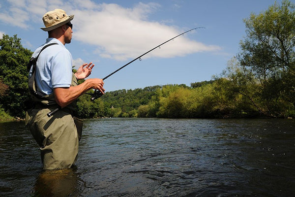 Guru Gripper Feeders